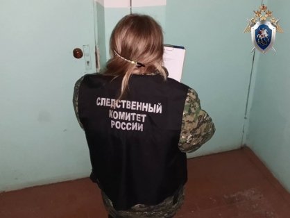 В городе Павлово Нижегородской области мужчина признан виновным в причинении смерти отчиму