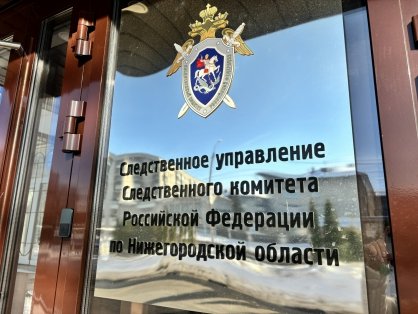 В городе Павлово Нижегородской области мужчина признан виновным в причинении смерти местному жителю