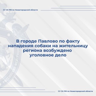 В городе Павлово по факту нападения собаки на жительницу региона возбуждено уголовное дело